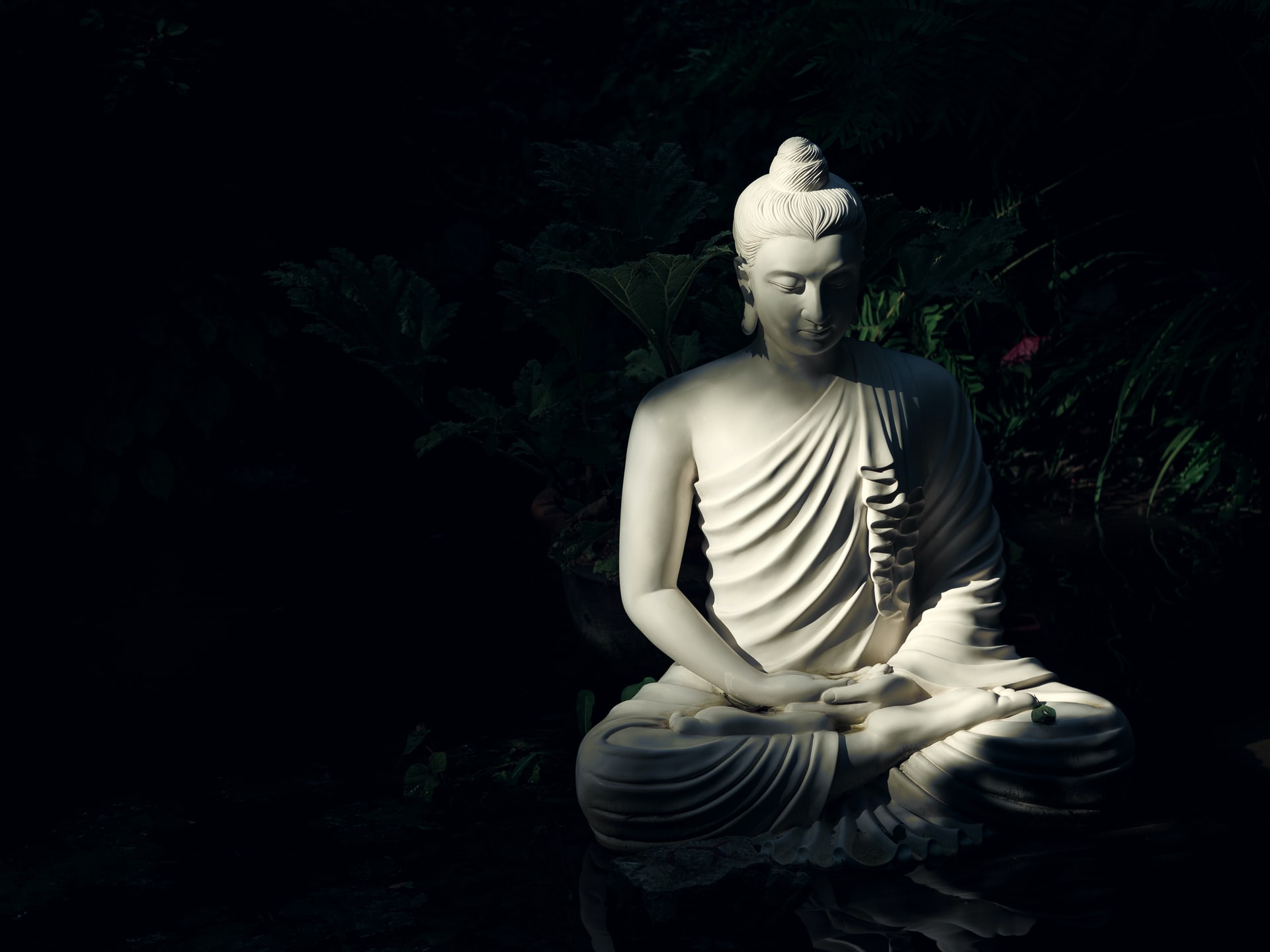 What Are The 7 Laws Of Karma? That Makes Your Life Better